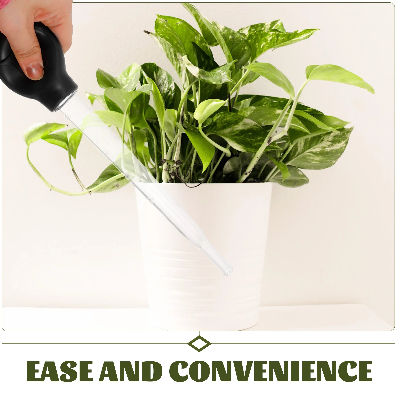 2Pcs Plant Tray Water Remover with Absorbing Function Simple Installation for Saucer Water Removal Gardening Supplies Kit
2Pcs Plant Tray Water Remover with Absorbing Function Simple Installation for Saucer Water Removal Gardening Supplies Kit