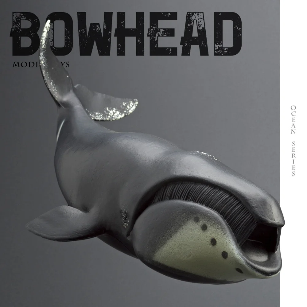 Realistic Bowhead Whale Ocean Animal Figures Solid PVC Marine Life Model Educational Collectible Toy & Diorama Statue HG123
Realistic Bowhead Whale Ocean Animal Figures Solid PVC Marine Life Model Educational Collectible Toy & Diorama Statue HG123
