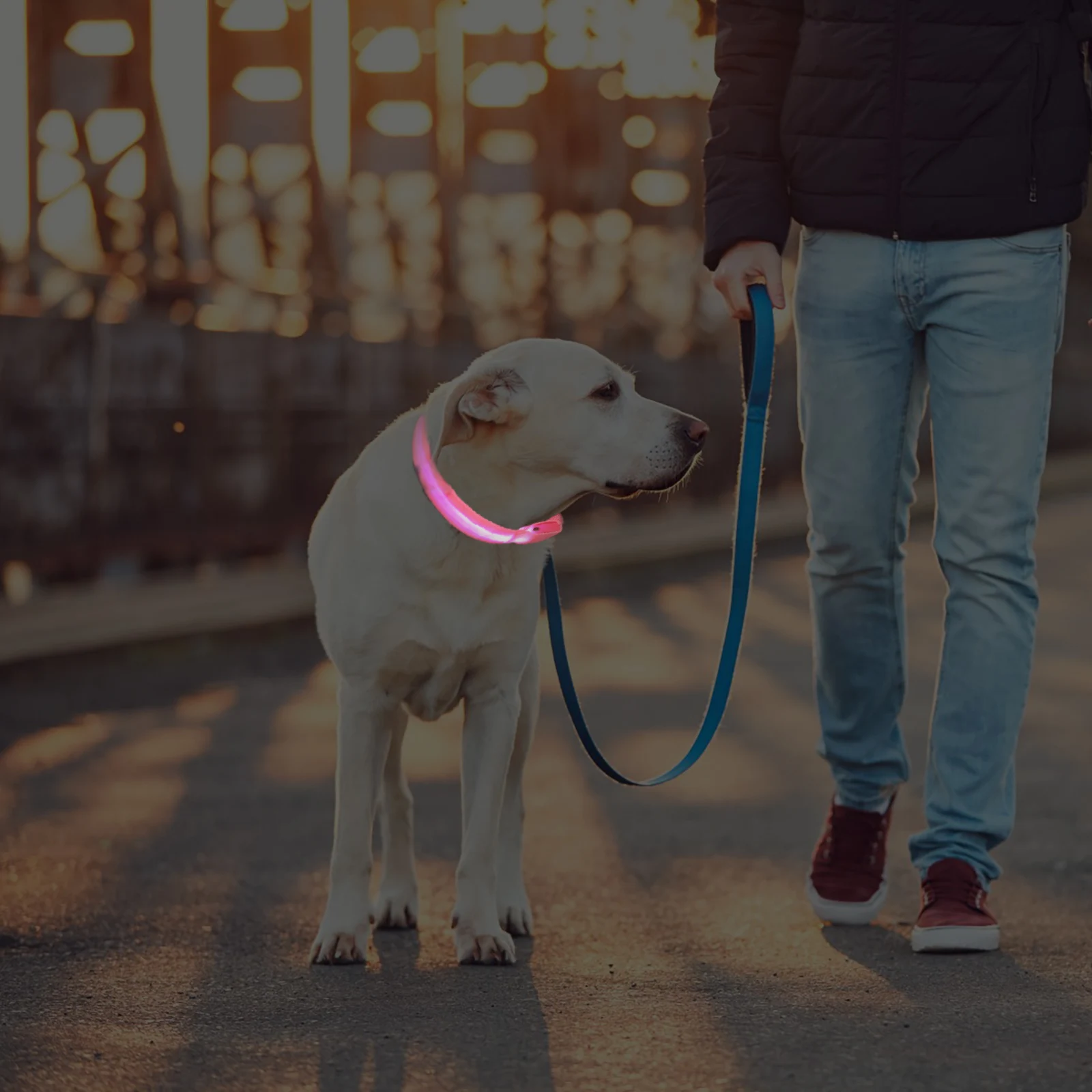 Night Luminous Pet Pink Light Up Puppy Adjustable Small Pet Glowing Collar Necklace Durable Safe Dog Accessories
Night Luminous Pet Pink Light Up Puppy Adjustable Small Pet Glowing Collar Necklace Durable Safe Dog Accessories