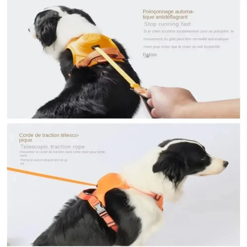 Dog Collar Harness for Medium Large Dogs Explosion-proof Punch Breathable Adjustable Pet Harness Vest Outdoor Outdoor Training
Dog Collar Harness for Medium Large Dogs Explosion-proof Punch Breathable Adjustable Pet Harness Vest Outdoor Outdoor Training
