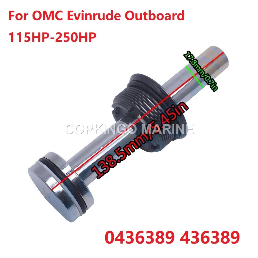 Boat Tilt Trim Piston Sub Assy For OMC Evinrude Outboard Motor PTT 115HP-250HP OMC BRP Screw 0435345 0436389
Boat Tilt Trim Piston Sub Assy For OMC Evinrude Outboard Motor PTT 115HP-250HP OMC BRP Screw 0435345 0436389
