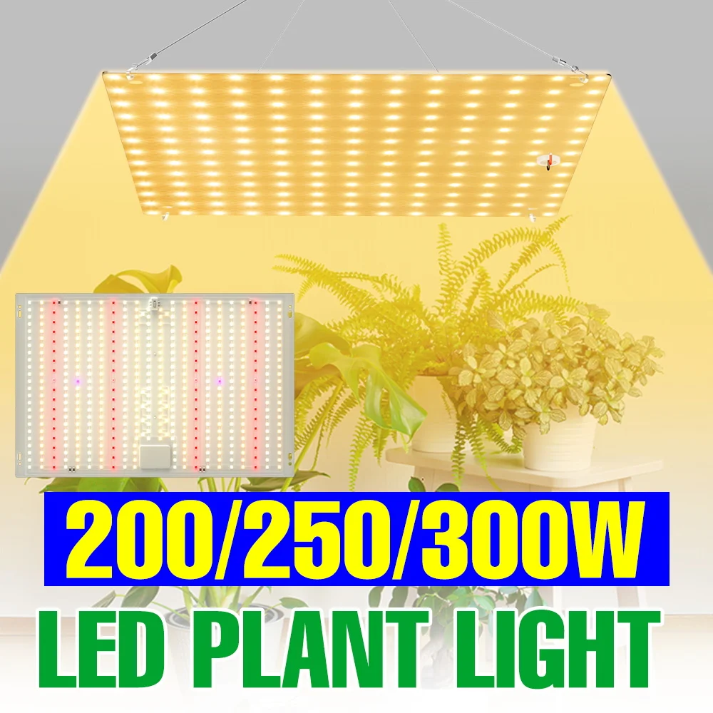 300W LED Full Spectrum Grow Light Indoor 220V Quantum Board Plant Fill Lamp Greenhouse Tent Vegs Cultivate Lighting US/EU Plug
300W LED Full Spectrum Grow Light Indoor 220V Quantum Board Plant Fill Lamp Greenhouse Tent Vegs Cultivate Lighting US/EU Plug