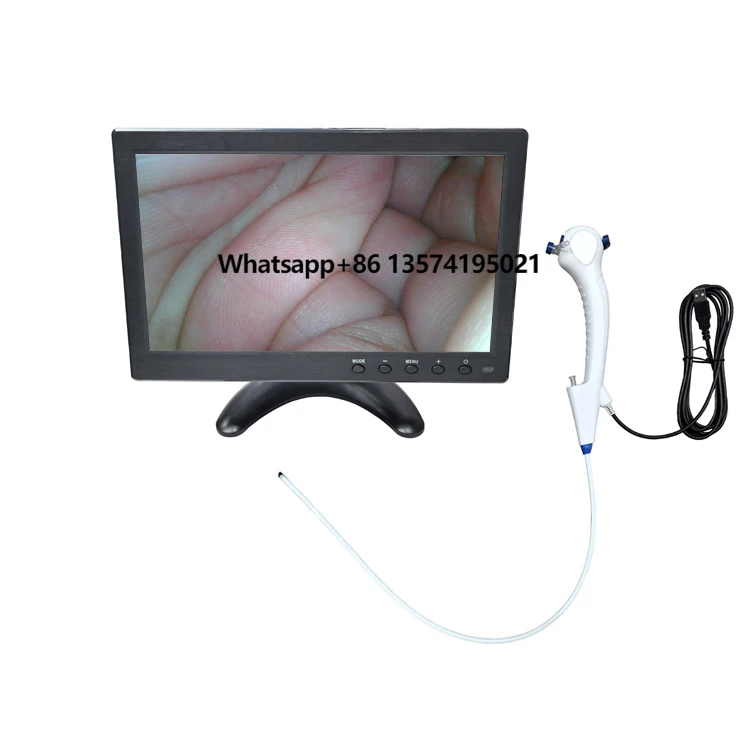 ENT Endoscope Endoscopy High Definition Image Processor Factory Direct Sales Veterinary Endoscope
ENT Endoscope Endoscopy High Definition Image Processor Factory Direct Sales Veterinary Endoscope