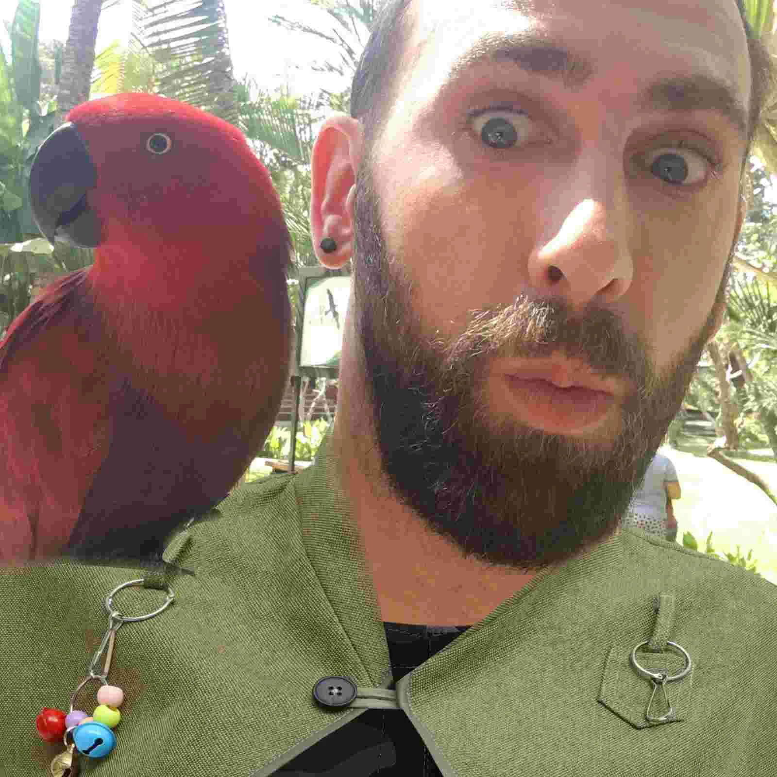 Reusable Shawl Shoulder Protector For Parrots Protective Clothing Clothes Anti-Grab Guard Cotton Linen Pad Bird
Reusable Shawl Shoulder Protector For Parrots Protective Clothing Clothes Anti-Grab Guard Cotton Linen Pad Bird