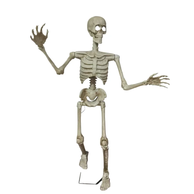 Halloween Skeleton Skeleton Horror Skeleton Bone Haunted House Backroom Plastic Props
Halloween Skeleton Skeleton Horror Skeleton Bone Haunted House Backroom Plastic Props