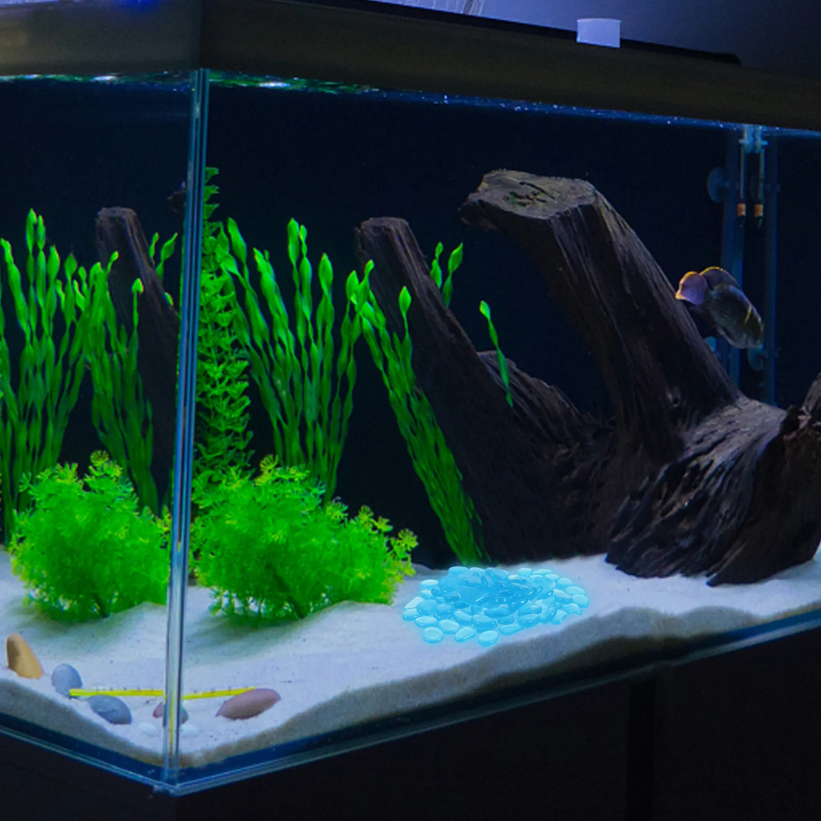 200pcs Glow In The Dark Aquarium Stones Luminous Decorative Gravel For Fish Tank Turtle Pond Outdoor Pathway Garden Decoration
200pcs Glow In The Dark Aquarium Stones Luminous Decorative Gravel For Fish Tank Turtle Pond Outdoor Pathway Garden Decoration