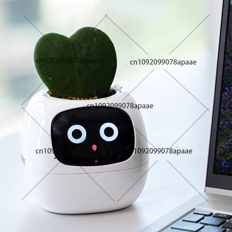 Эмоциональное растение, милое животное, подарок на день рождения для девушки, подруги, парня, креативное, умное украшение
Эмоциональное растение, милое животное, подарок на день рождения для девушки, подруги, парня, креативное, умное украшение