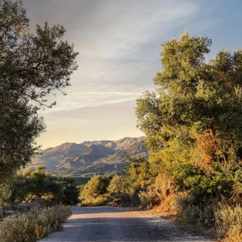 MN86 Коробка передач с ЧПУ с шестерней двигателя для 1/12 MN128 MN86 MN86K MN86KS G500 RC Rock Crawler Truck Upgrade 
MN86 Коробка передач с ЧПУ с шестерней двигателя для 1/12 MN128 MN86 MN86K MN86KS G500 RC Rock Crawler Truck Upgrade