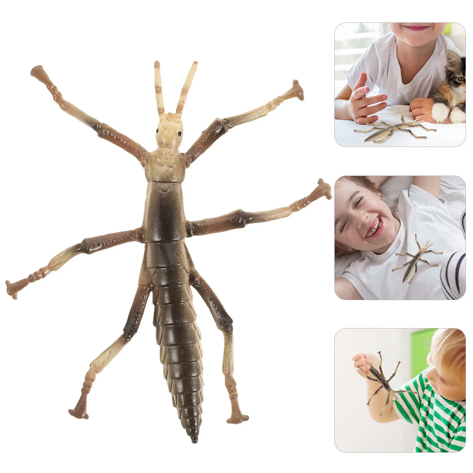Plastic Stick Insect Funny Kids Plaything Household Learning Educational Stick Play Accessory Children Supply Plastic Bugs
Plastic Stick Insect Funny Kids Plaything Household Learning Educational Stick Play Accessory Children Supply Plastic Bugs