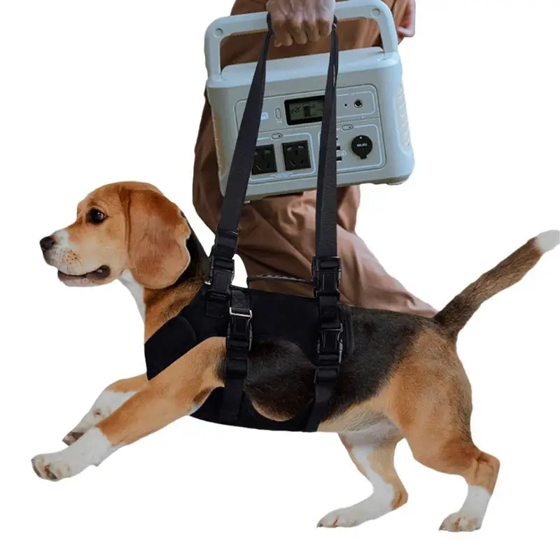Dog Sling Carrier For Large Dogs Adjustable Dog Vest Harnesses Dog Stair Helper Heavy Duty Adjustable Large Dog Sling Walking
Dog Sling Carrier For Large Dogs Adjustable Dog Vest Harnesses Dog Stair Helper Heavy Duty Adjustable Large Dog Sling Walking