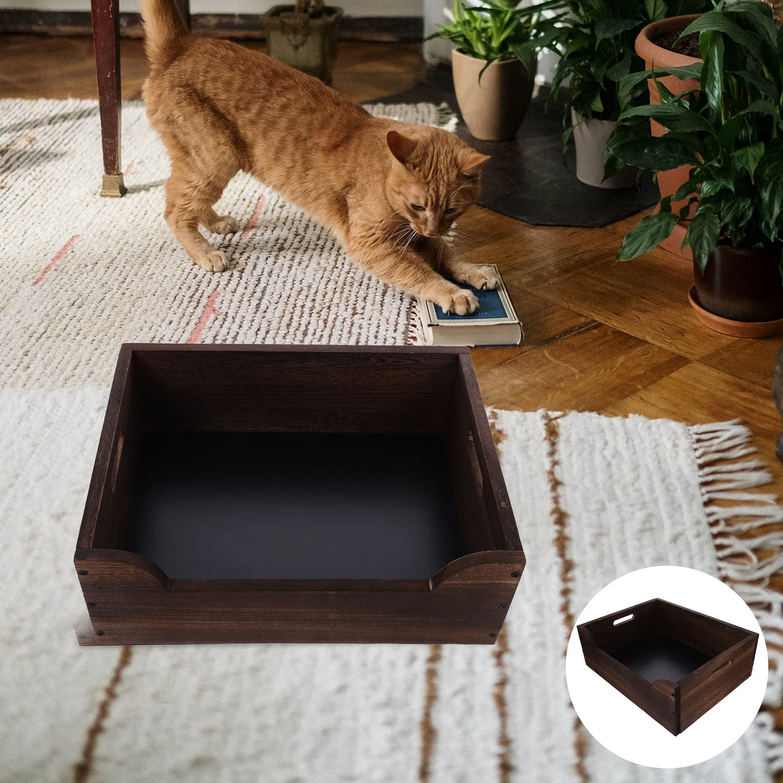 Large Solid Wood Litter Open Design High Walls Indoor Corner Tray Pet Toilet Supplies Kitten Senior Cat Litter Holder
Large Solid Wood Litter Open Design High Walls Indoor Corner Tray Pet Toilet Supplies Kitten Senior Cat Litter Holder