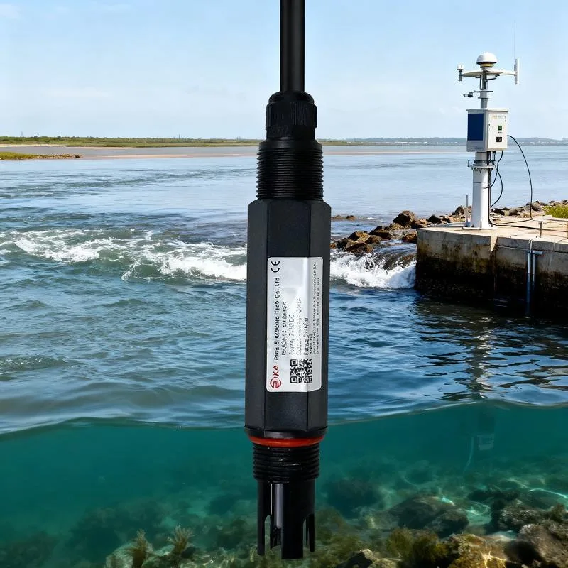 2026 Rk500-12C Industrial Digital pH Transmitter 0-14pH Glass+PPS 0.6-1MPa High Pressure for Chemical Plant Corrosive Liquid
2026 Rk500-12C Industrial Digital pH Transmitter 0-14pH Glass+PPS 0.6-1MPa High Pressure for Chemical Plant Corrosive Liquid