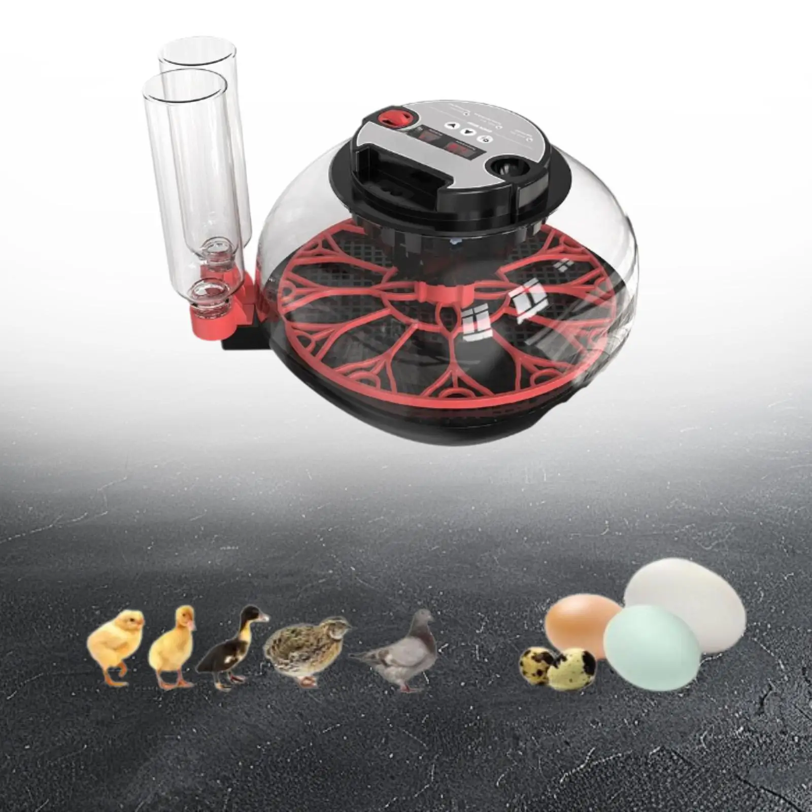 Инкубатор для яиц на 7 мест с прозрачным окном, цифровая машина для выведения птенцов для голубей, перепелов, уток, для фермерских хозяйств и научно-образовательных целей
Инкубатор для яиц на 7 мест с прозрачным окном, цифровая машина для выведения птенцов для голубей, перепелов, уток, для фермерских хозяйств и научно-образовательных целей