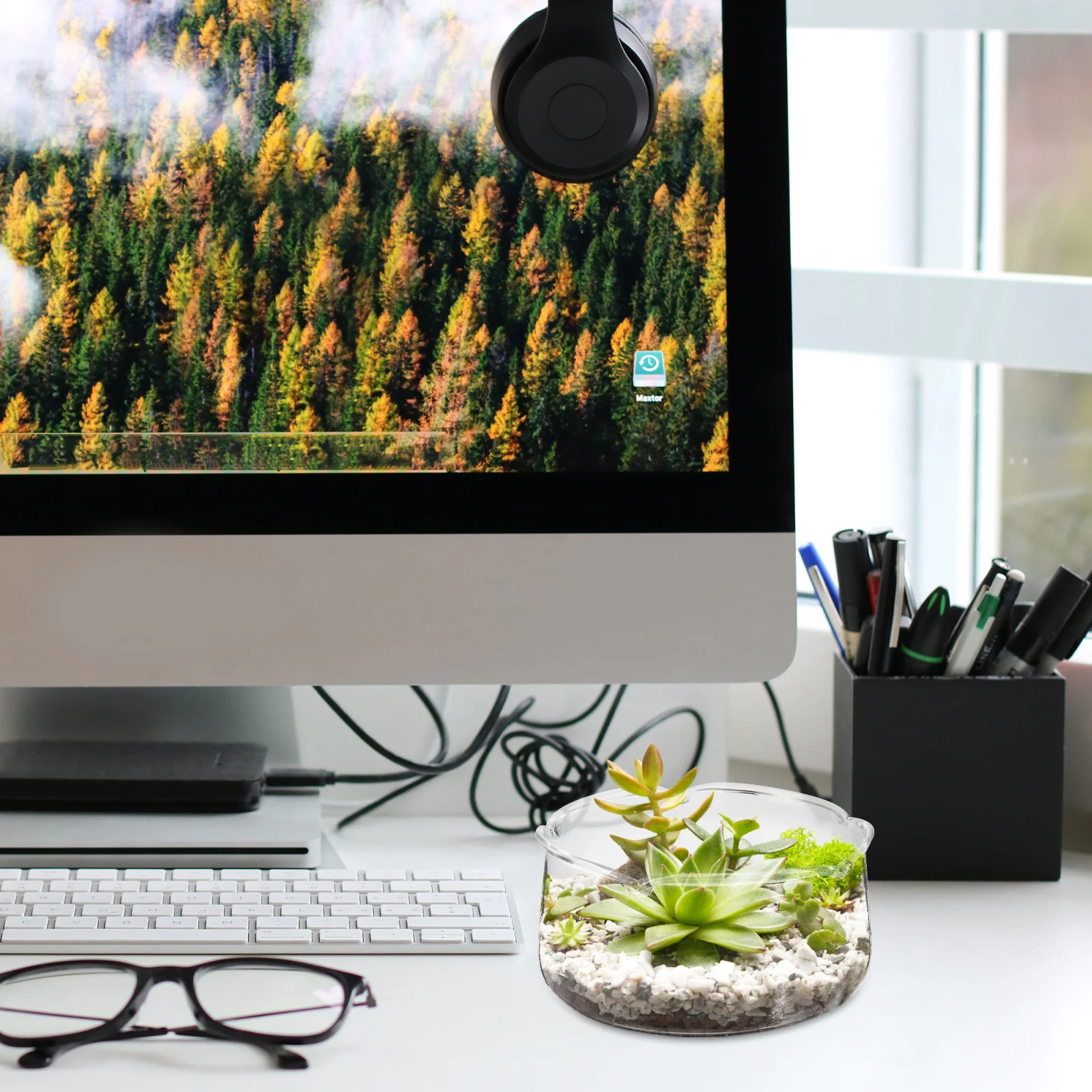 Clear Glass Pot Hydroponic Flowerpot for Lotus Water Plants Small Vase Indoor Decor Hydroponic Plants Clear Glass Pot
Clear Glass Pot Hydroponic Flowerpot for Lotus Water Plants Small Vase Indoor Decor Hydroponic Plants Clear Glass Pot