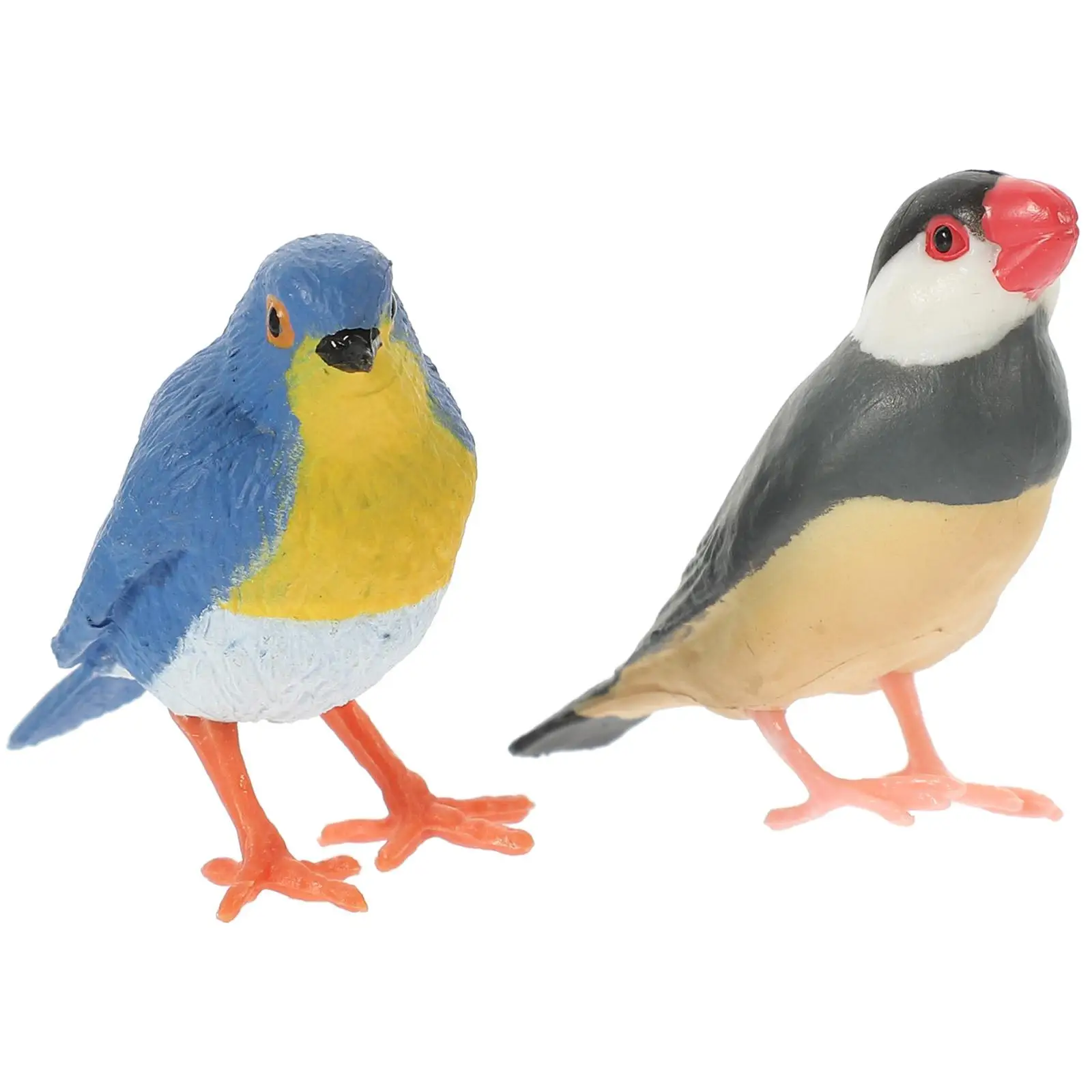 2 Pcs Micro Landscape Mini Bird Model Cognitive Ornament Fairy Garden Decoration Small Adornment Fake Craft Plastic Home
2 Pcs Micro Landscape Mini Bird Model Cognitive Ornament Fairy Garden Decoration Small Adornment Fake Craft Plastic Home