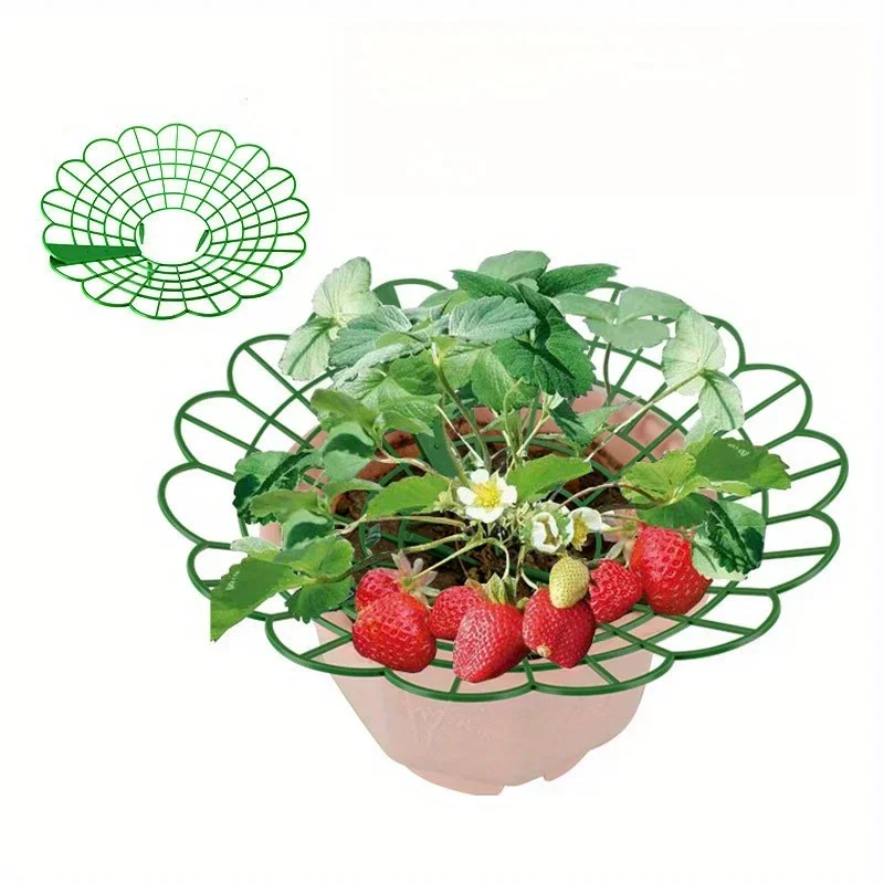 5/10pcs Strawberry Plant Supports with Three Sturdy Legs Provide Protection for Strawberries Against Mold, Rot, and Dirt
5/10pcs Strawberry Plant Supports with Three Sturdy Legs Provide Protection for Strawberries Against Mold, Rot, and Dirt