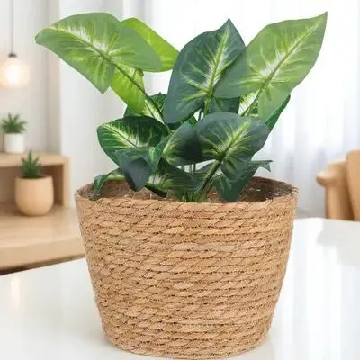 Rustic Woven Planter Basket With Liner Durable Plant Container For Indoor Outdoor Home Office Storage Basket Flower Holder Straw
Rustic Woven Planter Basket With Liner Durable Plant Container For Indoor Outdoor Home Office Storage Basket Flower Holder Straw