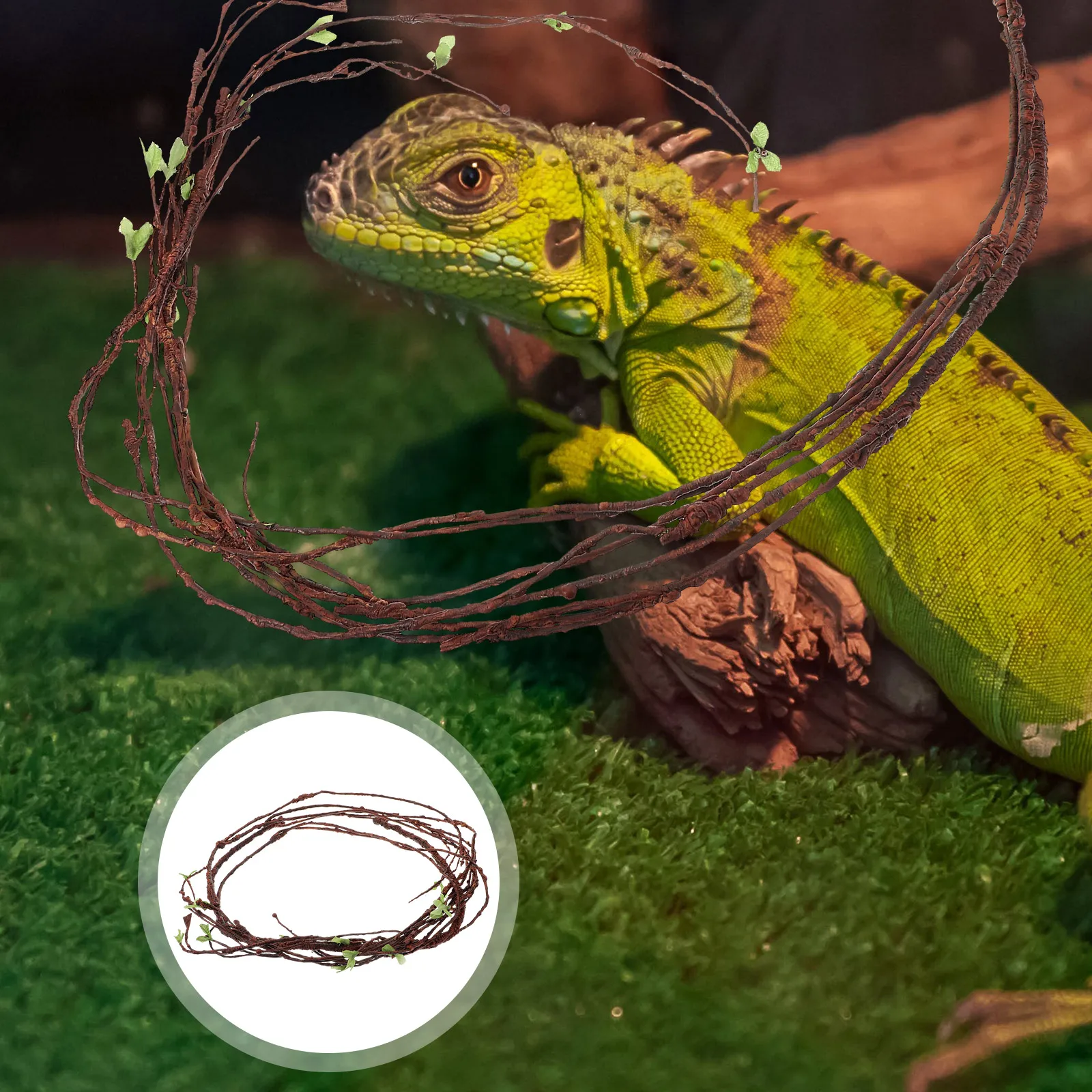 Reptile Tank Vine Fake Vine Ornament Lizards Geckos Snakes Climbing Artificial Habitat Landscaping Terrarium Decor Reptile
Reptile Tank Vine Fake Vine Ornament Lizards Geckos Snakes Climbing Artificial Habitat Landscaping Terrarium Decor Reptile