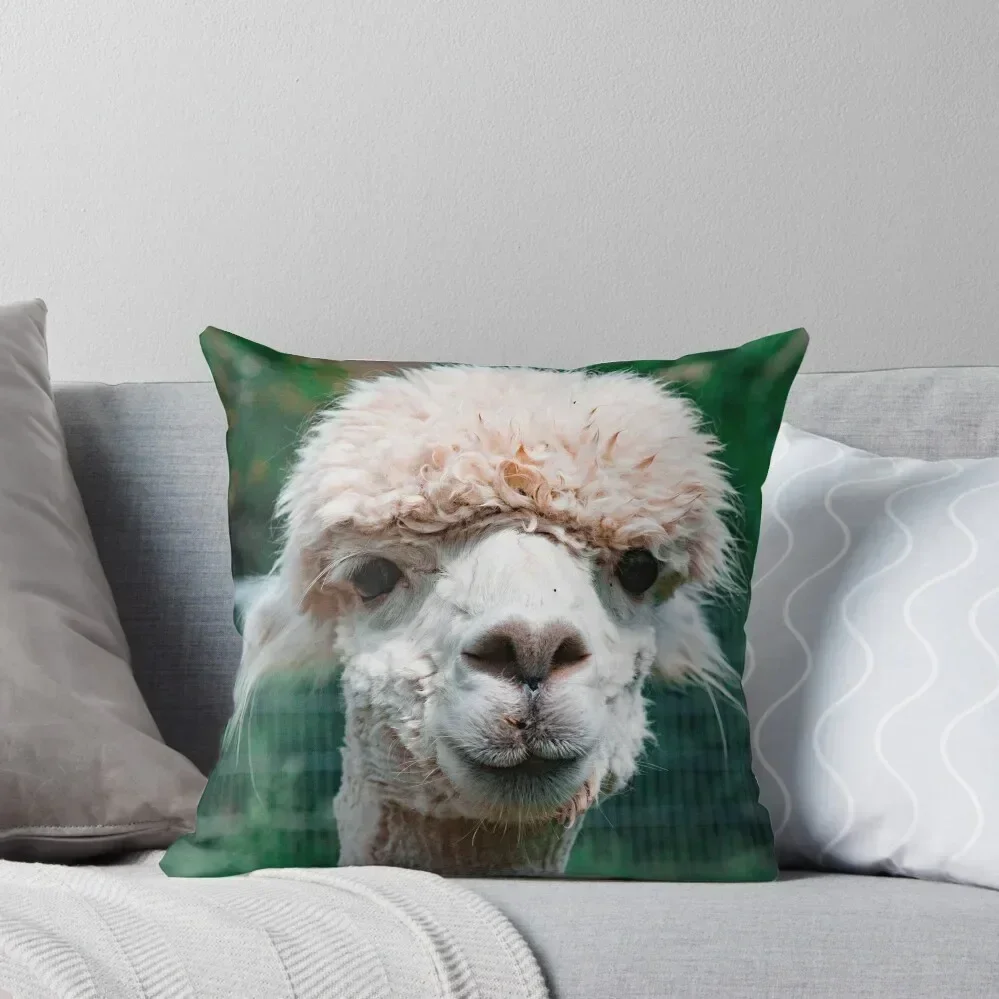 Alpaca Throw Pillow Sofa Cover christmas cushions covers ornamental pillows for living room pillow
Alpaca Throw Pillow Sofa Cover christmas cushions covers ornamental pillows for living room pillow