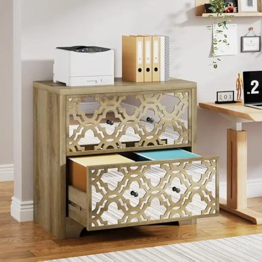 Rustic-Modern File Cabinet for Home Office, 2-Drawer File Cabinet w/Mirrored Finish, Wooden Lateral Filing Cabinet Printer Stand
Rustic-Modern File Cabinet for Home Office, 2-Drawer File Cabinet w/Mirrored Finish, Wooden Lateral Filing Cabinet Printer Stand