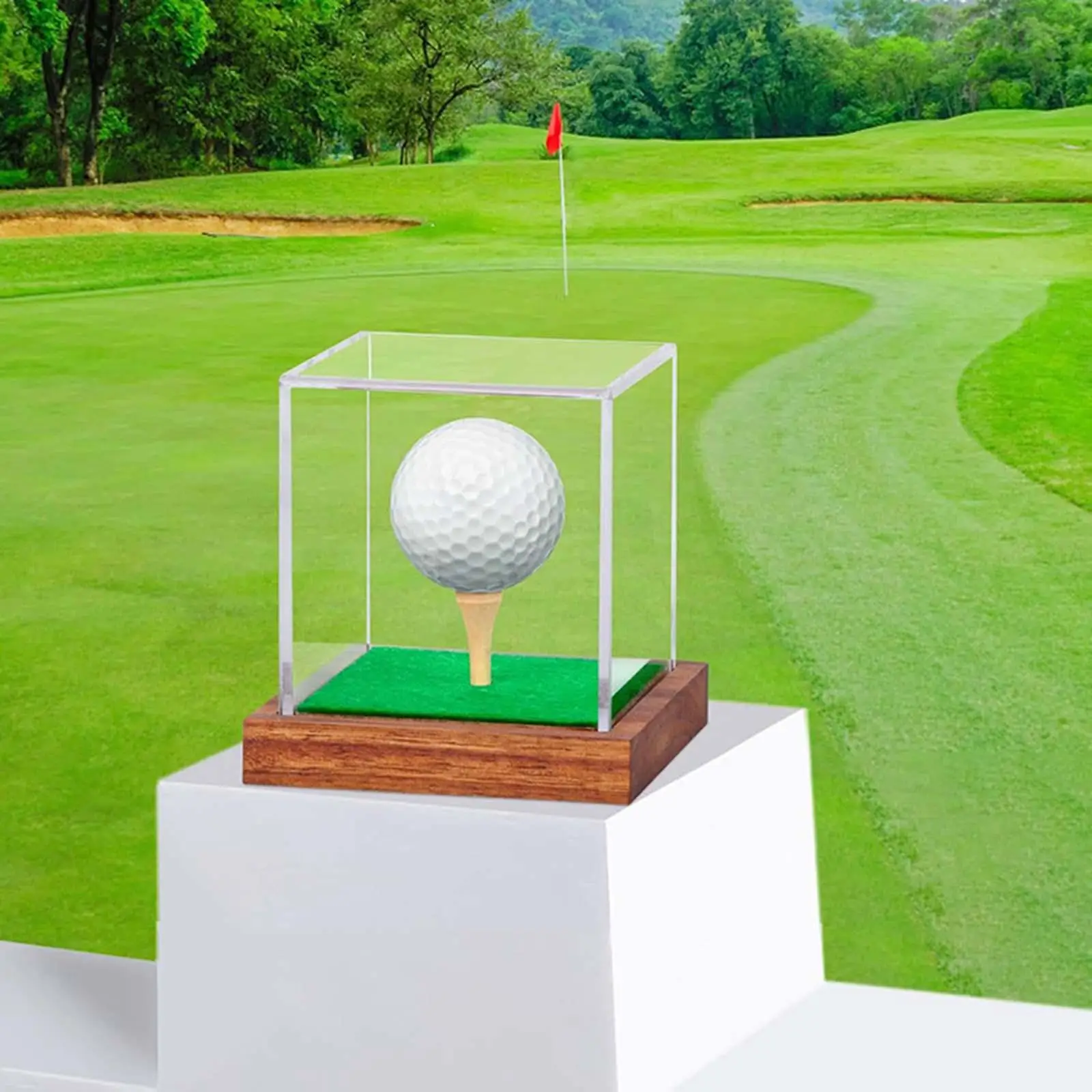 Clear Golf Ball Protection Storage Case Acrylic Wood Base Dustproof Showcase for Sports Collectibles
Clear Golf Ball Protection Storage Case Acrylic Wood Base Dustproof Showcase for Sports Collectibles