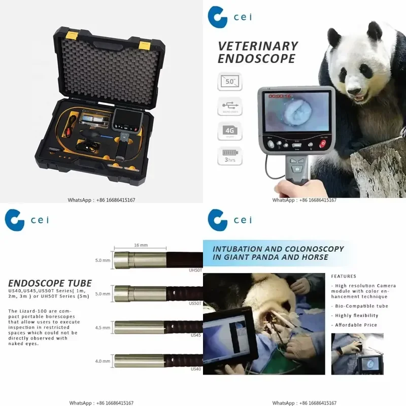 Veterinary Clinic Equipment Digital Flexible
Veterinary Clinic Equipment Digital Flexible