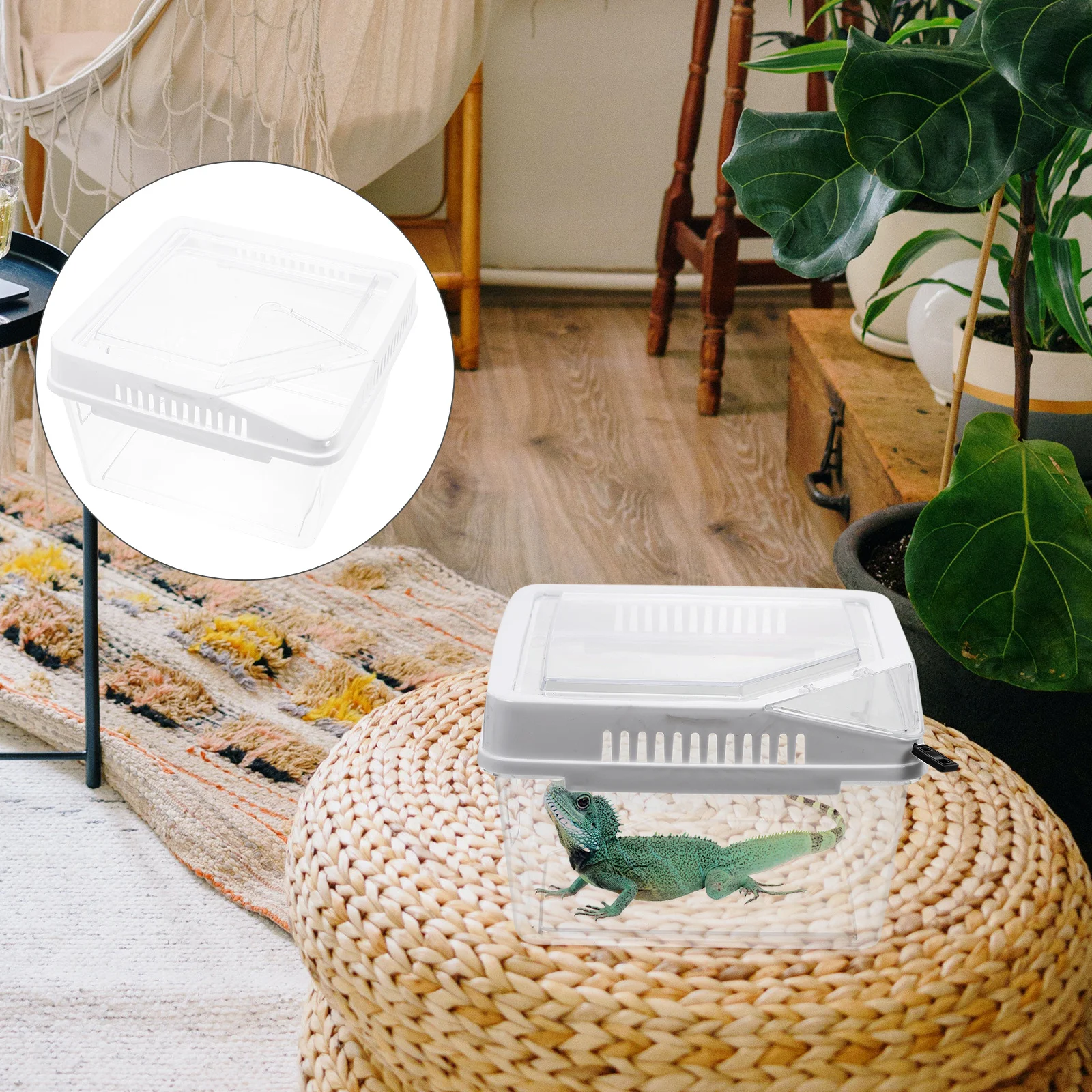 Reptile Box Transparent Breeding Container for Crawling Pets Spider Lizards Turtles Frogs Snake Feeding Anti-Escape Display Case
Reptile Box Transparent Breeding Container for Crawling Pets Spider Lizards Turtles Frogs Snake Feeding Anti-Escape Display Case