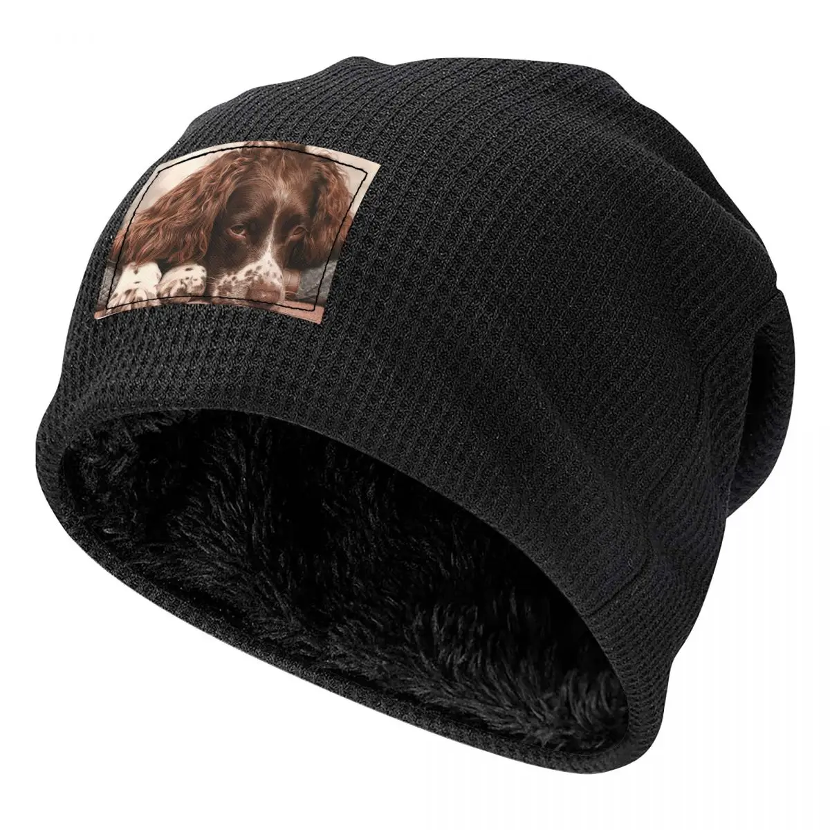 Английский спрингер-спаниель для мужчин и женщин, шапки для взрослых, шапка с флисовой подкладкой, теплая шапка в стиле хип-хоп, осенне-зимняя уличная шапка Skullies
Английский спрингер-спаниель для мужчин и женщин, шапки для взрослых, шапка с флисовой подкладкой, теплая шапка в стиле хип-хоп, осенне-зимняя уличная шапка Skullies