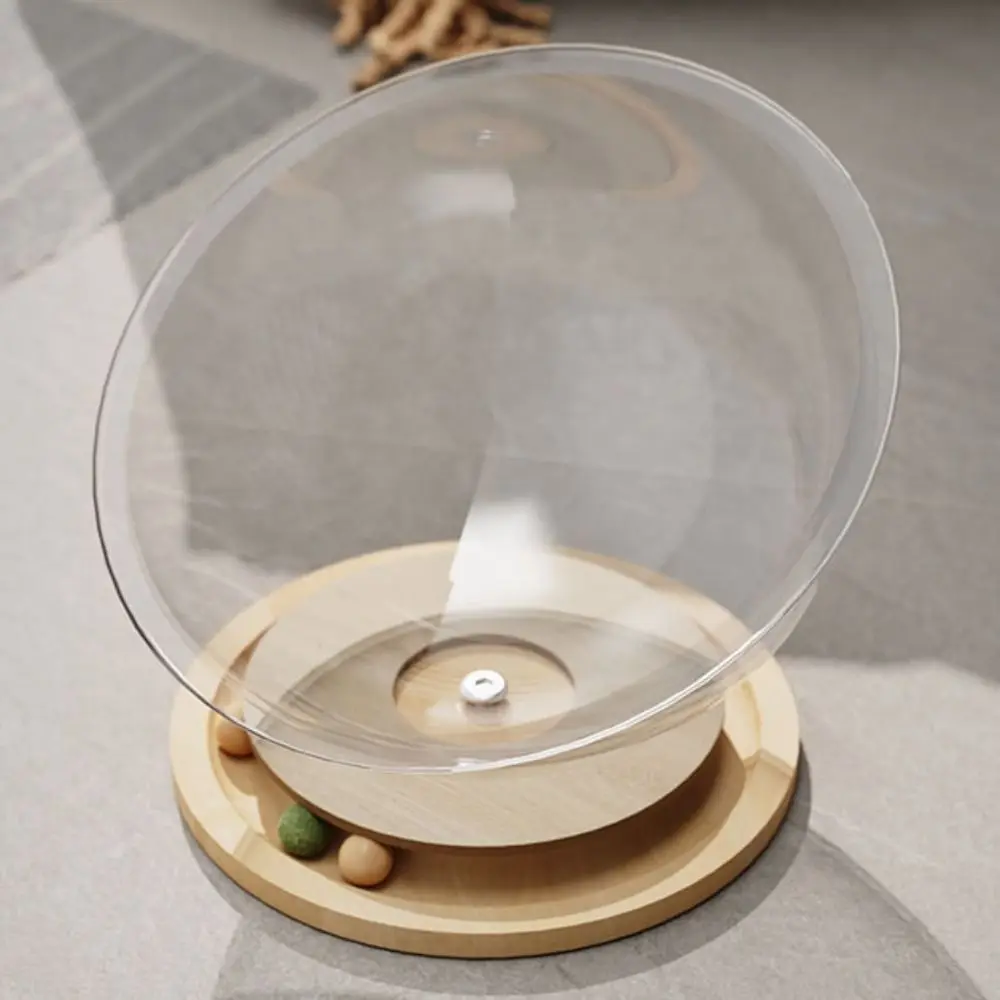 Good Load Bearing Transparnt Space Capsule Cat Bed Acrylic Universal Cat Sleeping Nest Round Cat Toys Kitten
Good Load Bearing Transparnt Space Capsule Cat Bed Acrylic Universal Cat Sleeping Nest Round Cat Toys Kitten