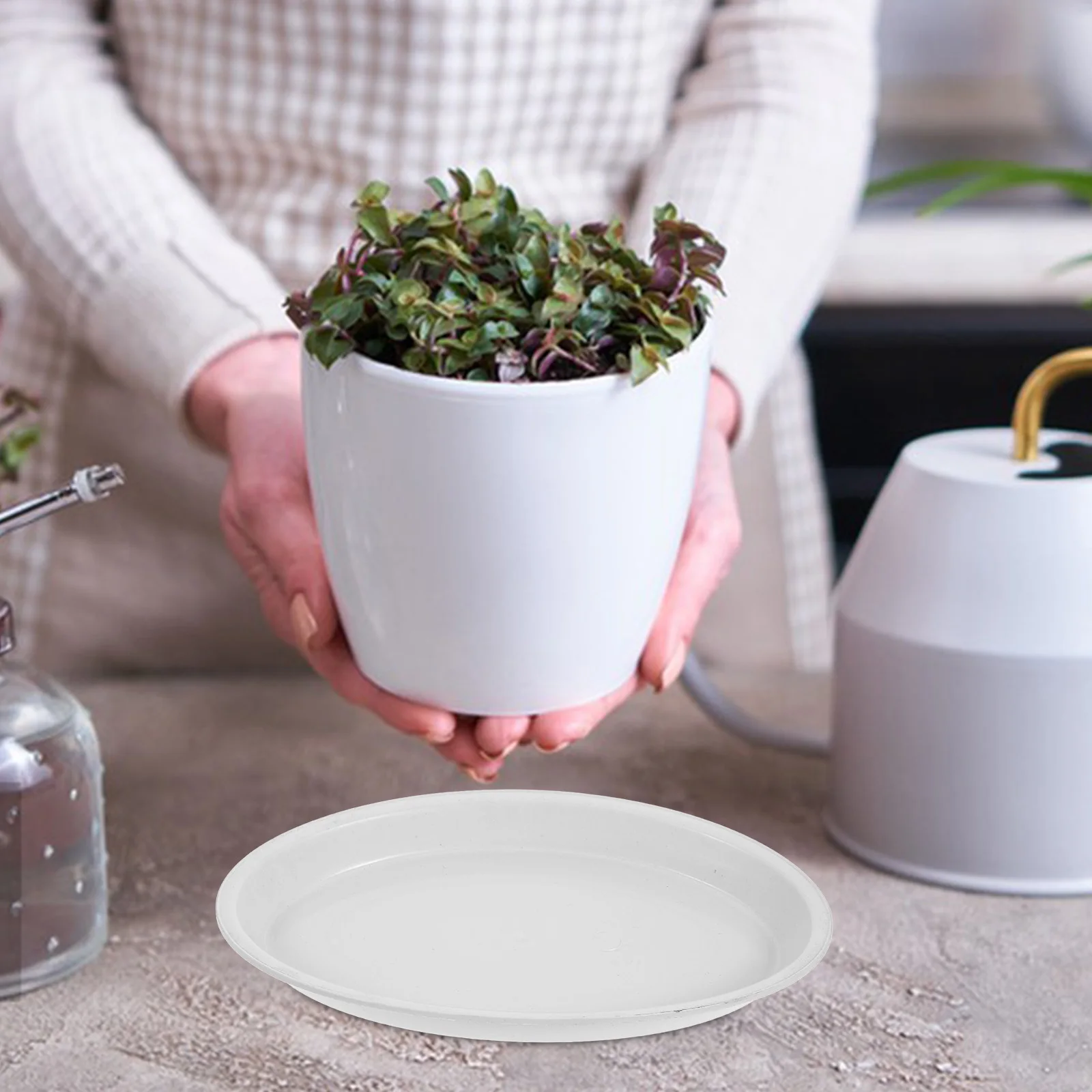 4Pcs Heavy Duty Plant Saucers Oval Shaped Durable PP Plastic Trays for Indoor Plants Decorative and Functional Use
4Pcs Heavy Duty Plant Saucers Oval Shaped Durable PP Plastic Trays for Indoor Plants Decorative and Functional Use