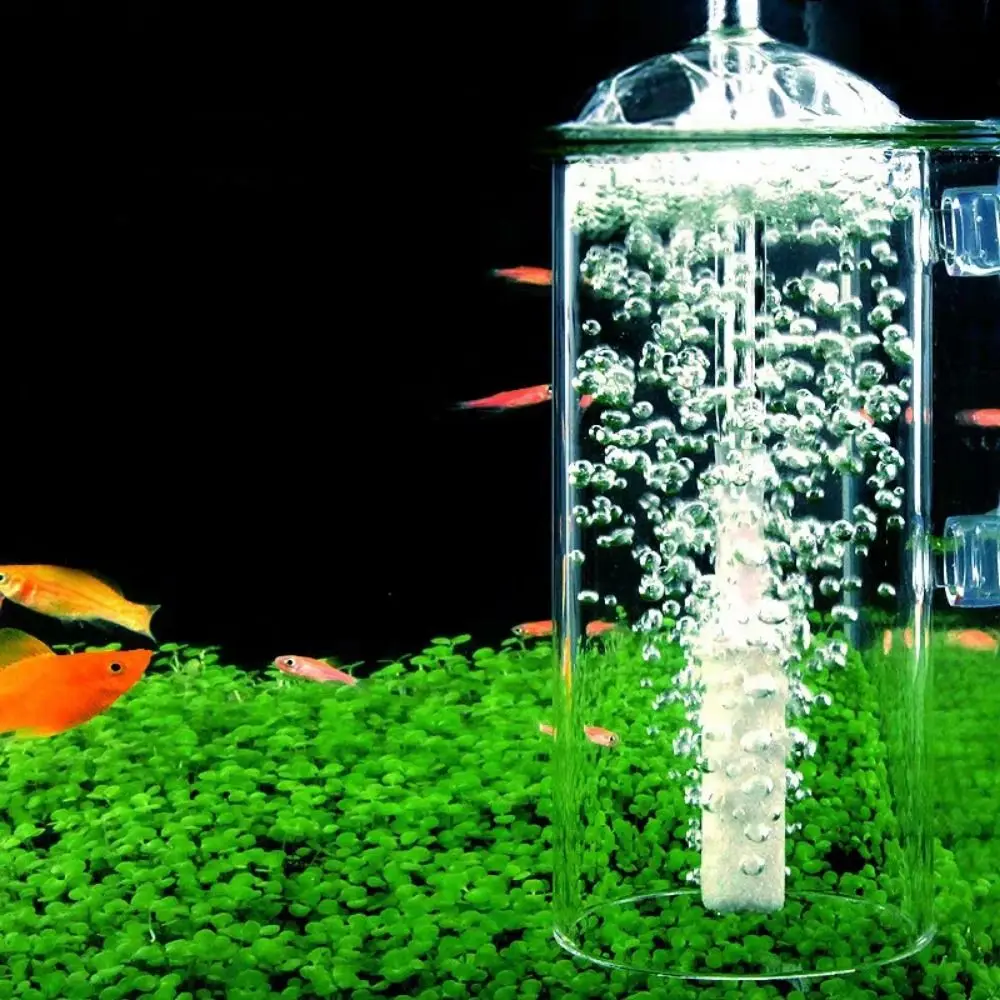 Crystal Glass Fish Tank Dissolved Oxygen Device Transparent Preventing Water Splashing Fish Tank Oxygen Aerator
Crystal Glass Fish Tank Dissolved Oxygen Device Transparent Preventing Water Splashing Fish Tank Oxygen Aerator