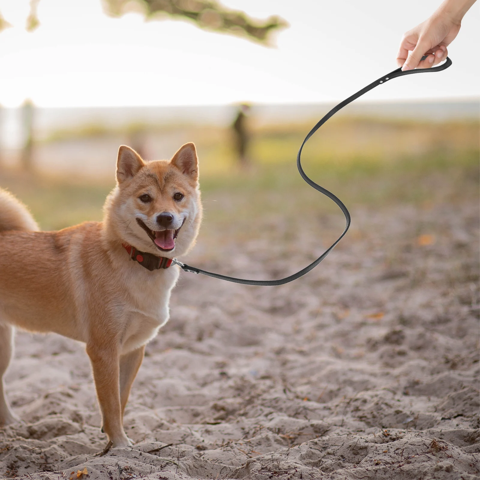 Dog Leash Rhinestone Studded Flexible PU for Small Dogs Walking Jogging Hiking Camping Bling Puppy Pet Supplies
Dog Leash Rhinestone Studded Flexible PU for Small Dogs Walking Jogging Hiking Camping Bling Puppy Pet Supplies