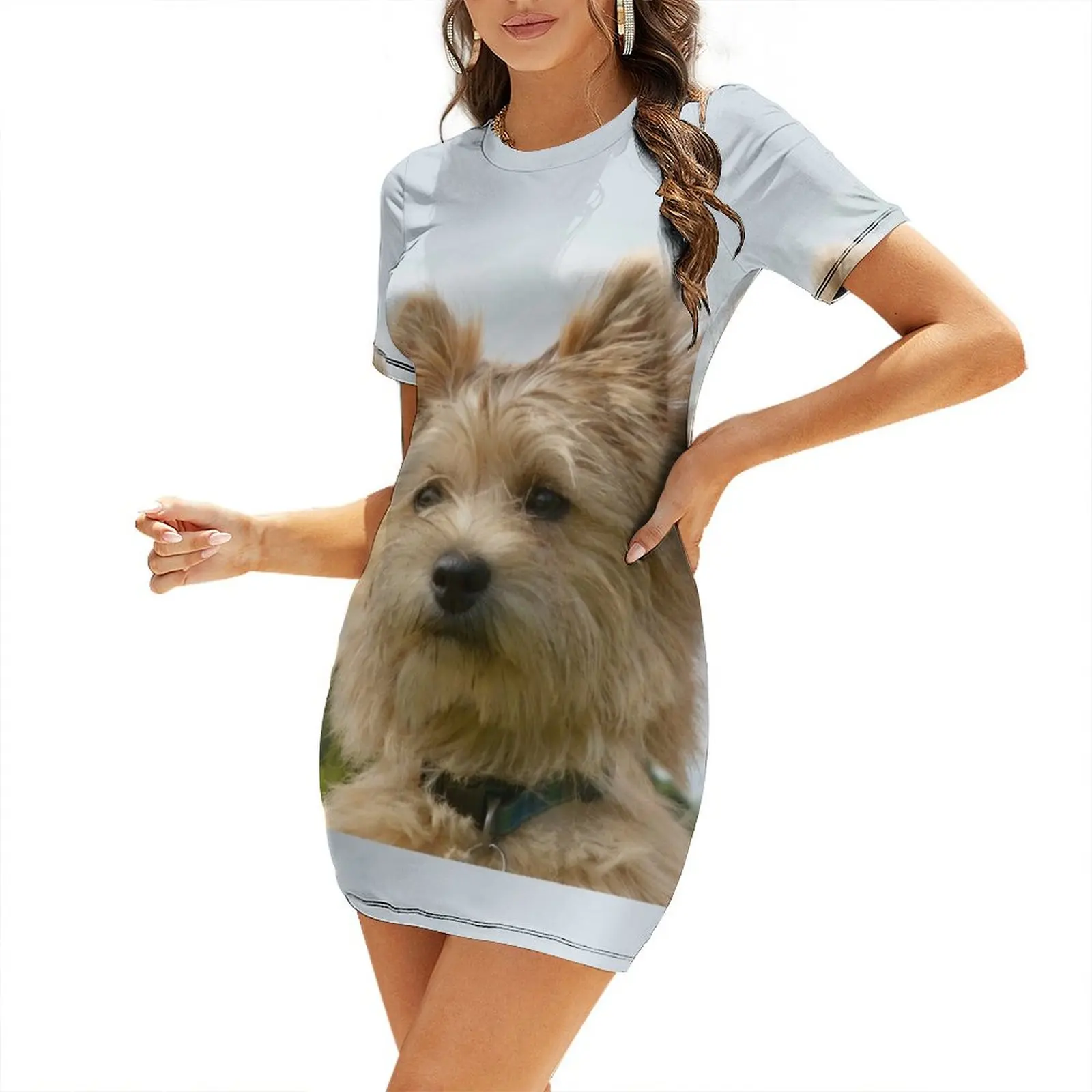 Cairn Terrier Short Sleeved Dress elegant women's sets loose women's dress summer clothes for women cocktail dresses
Cairn Terrier Short Sleeved Dress elegant women's sets loose women's dress summer clothes for women cocktail dresses