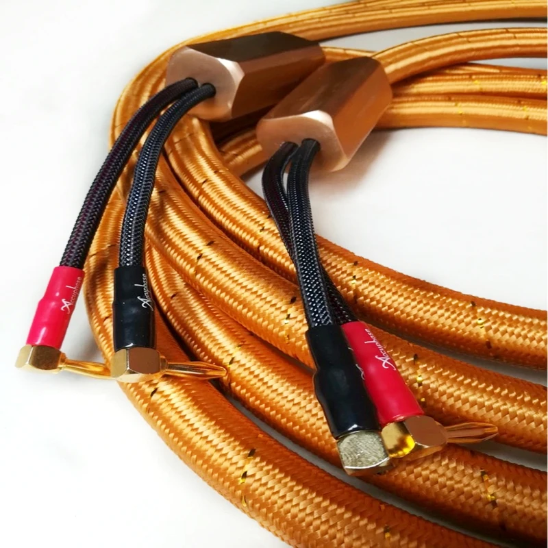 A Pair Fever Grade Accuphase OPUS 2 HIFI Audio Speaker Cable with Gold Plated Banana Plugs
A Pair Fever Grade Accuphase OPUS 2 HIFI Audio Speaker Cable with Gold Plated Banana Plugs