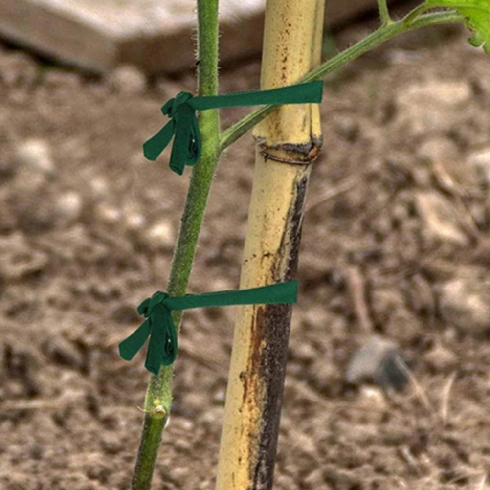 4 Rolls Garden Fixing Strap Plant Support Strap For Staking Durable Strong Tree Support Straps Staking Accessories
4 Rolls Garden Fixing Strap Plant Support Strap For Staking Durable Strong Tree Support Straps Staking Accessories