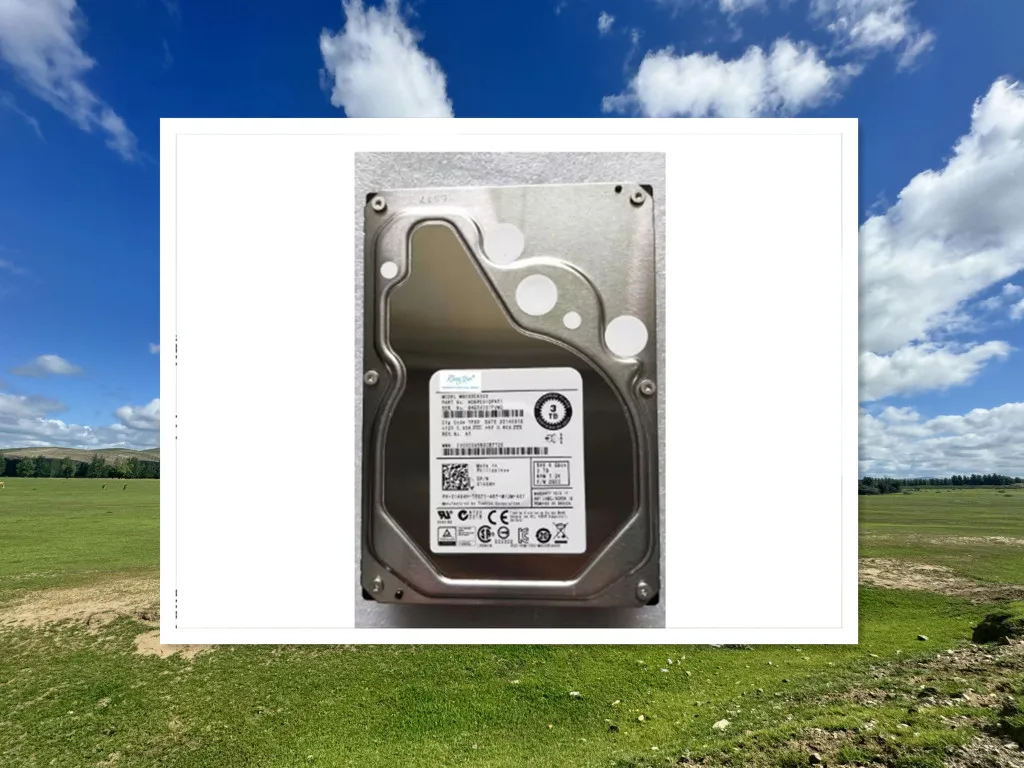 Для 055H49 ST3000NM0023 55H49 3T SAS 7,2K 3,5 014X4H MG03SCA300 14X4H 3 ТБ жесткого диска
Для 055H49 ST3000NM0023 55H49 3T SAS 7,2K 3,5 014X4H MG03SCA300 14X4H 3 ТБ жесткого диска