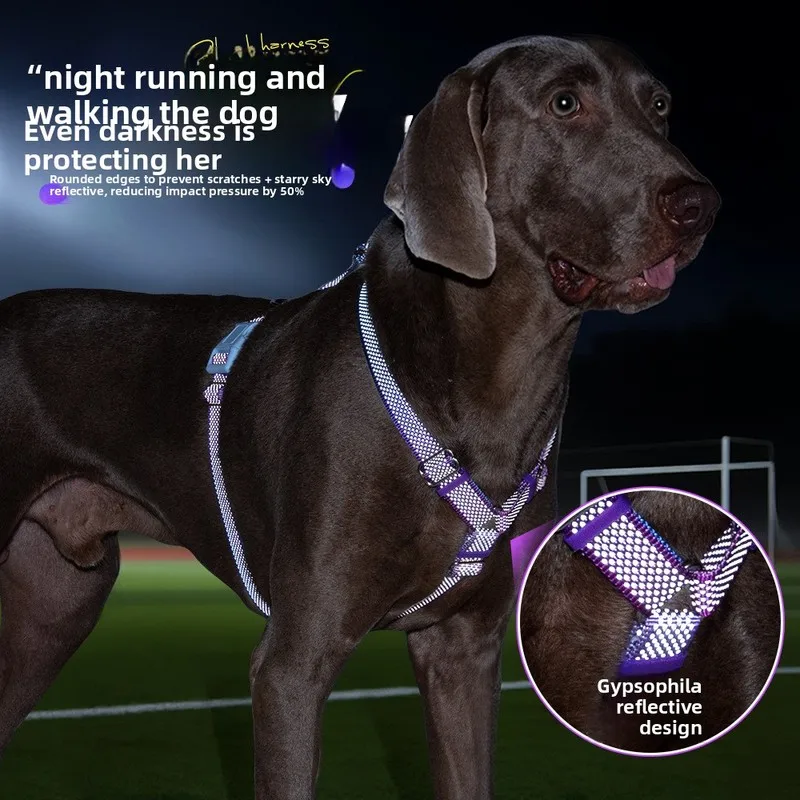 No-Pull Dog Harness – Full Reflective Honeycomb Weave, 5mm Cooling & Durable, Anti-Choke Escape-Proof Vest with Leash
No-Pull Dog Harness – Full Reflective Honeycomb Weave, 5mm Cooling & Durable, Anti-Choke Escape-Proof Vest with Leash