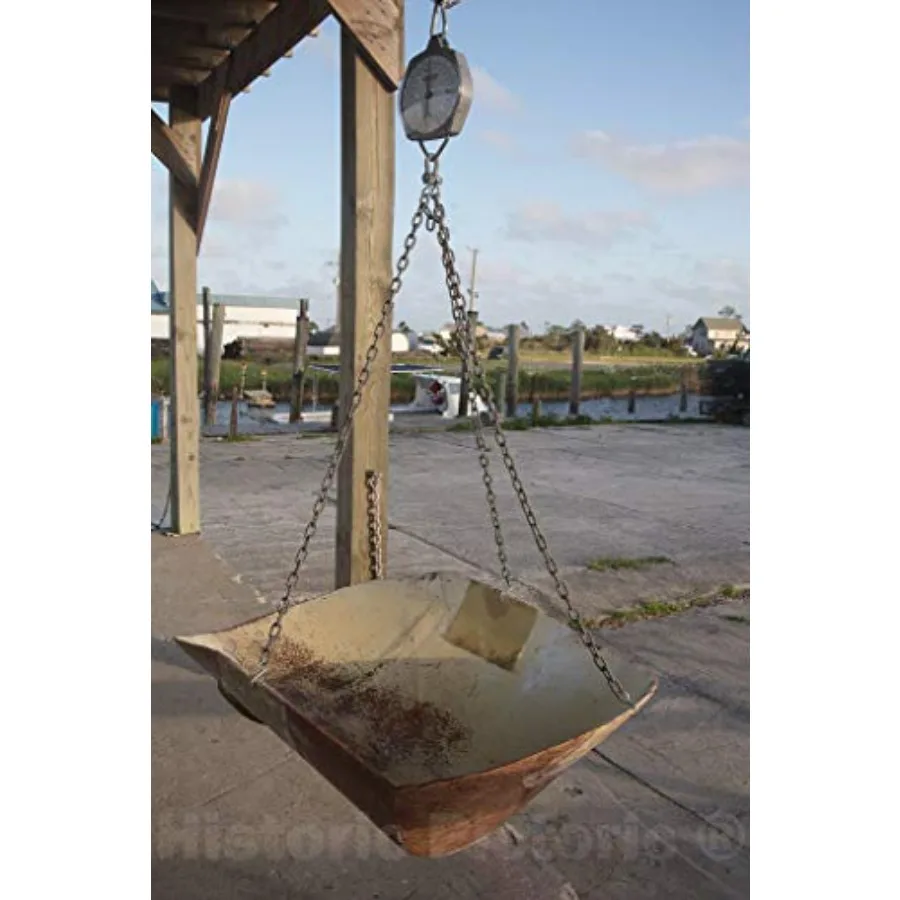 Photo - Fish Scale in Wanchese, an Old Fishing Port, which in fact, was The Very First Fishing Village, on Roanoke Island in No
Photo - Fish Scale in Wanchese, an Old Fishing Port, which in fact, was The Very First Fishing Village, on Roanoke Island in No