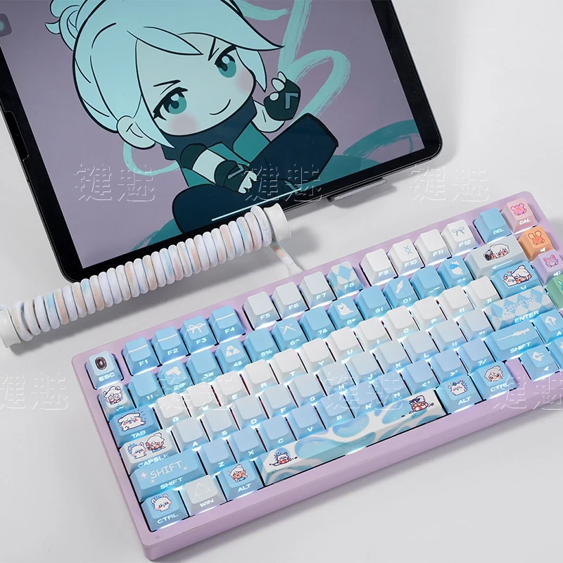 Jiefeng Flying Squirrel Keycap Box Set with Side Engraving, Translucent, Original Factory Custom Keycaps
Jiefeng Flying Squirrel Keycap Box Set with Side Engraving, Translucent, Original Factory Custom Keycaps