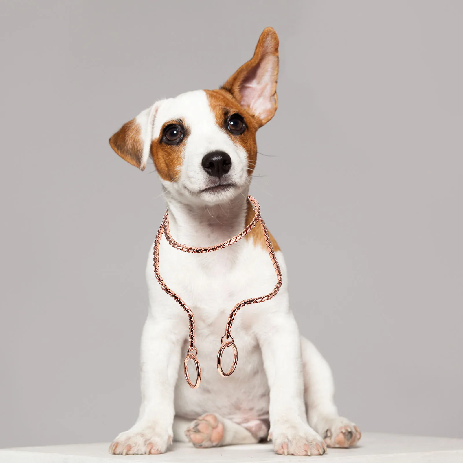 Stainless Steel Dog Chain Strong Metal Collar Leash Choker Necklace Puppy Walking Daily Use Pet
Stainless Steel Dog Chain Strong Metal Collar Leash Choker Necklace Puppy Walking Daily Use Pet