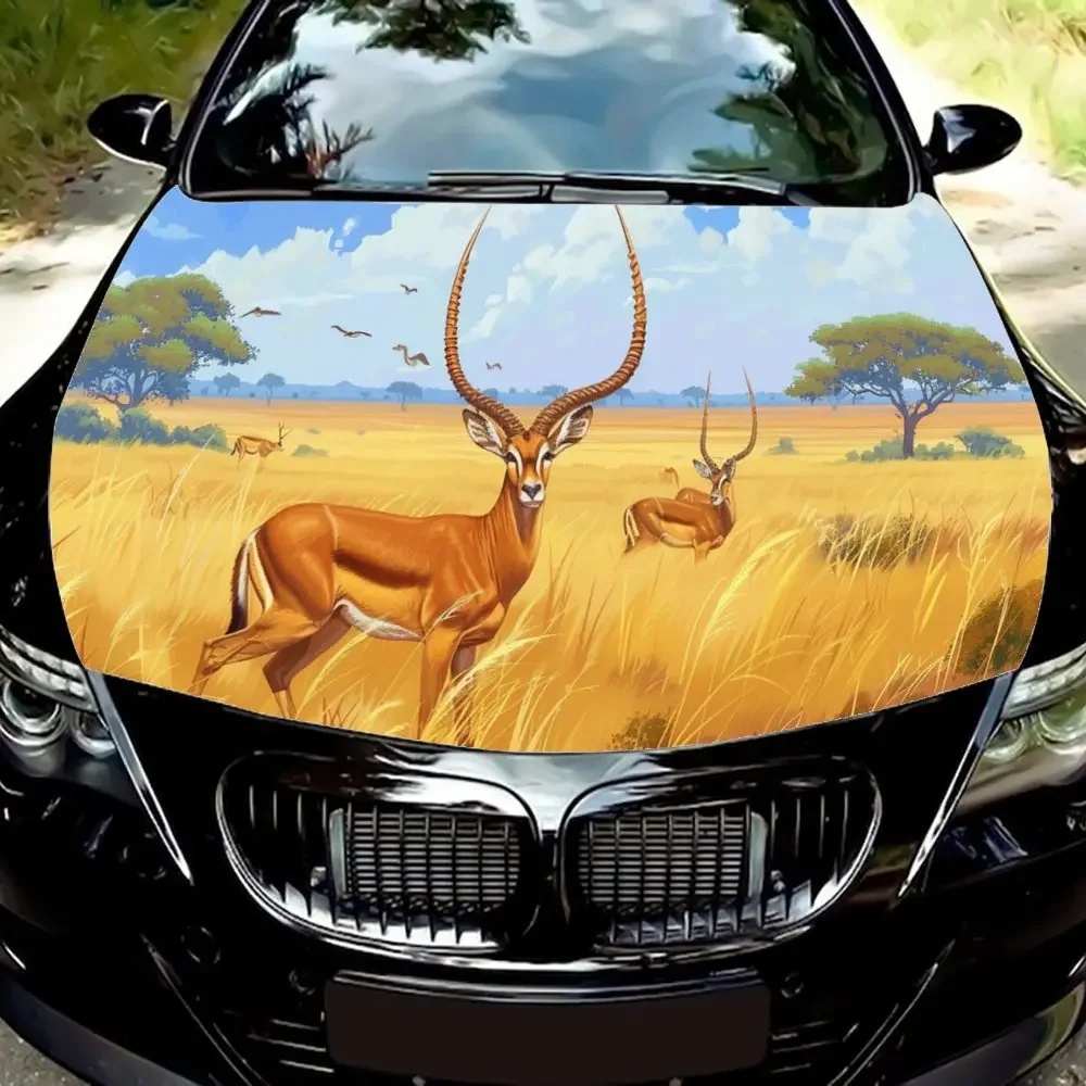 Golden Grassland Antelope Car Hood Wrap Color Vinyl Sticker Truck Graphic Bonnet DIY Auto Accessories Decoration Decal Gift
Golden Grassland Antelope Car Hood Wrap Color Vinyl Sticker Truck Graphic Bonnet DIY Auto Accessories Decoration Decal Gift