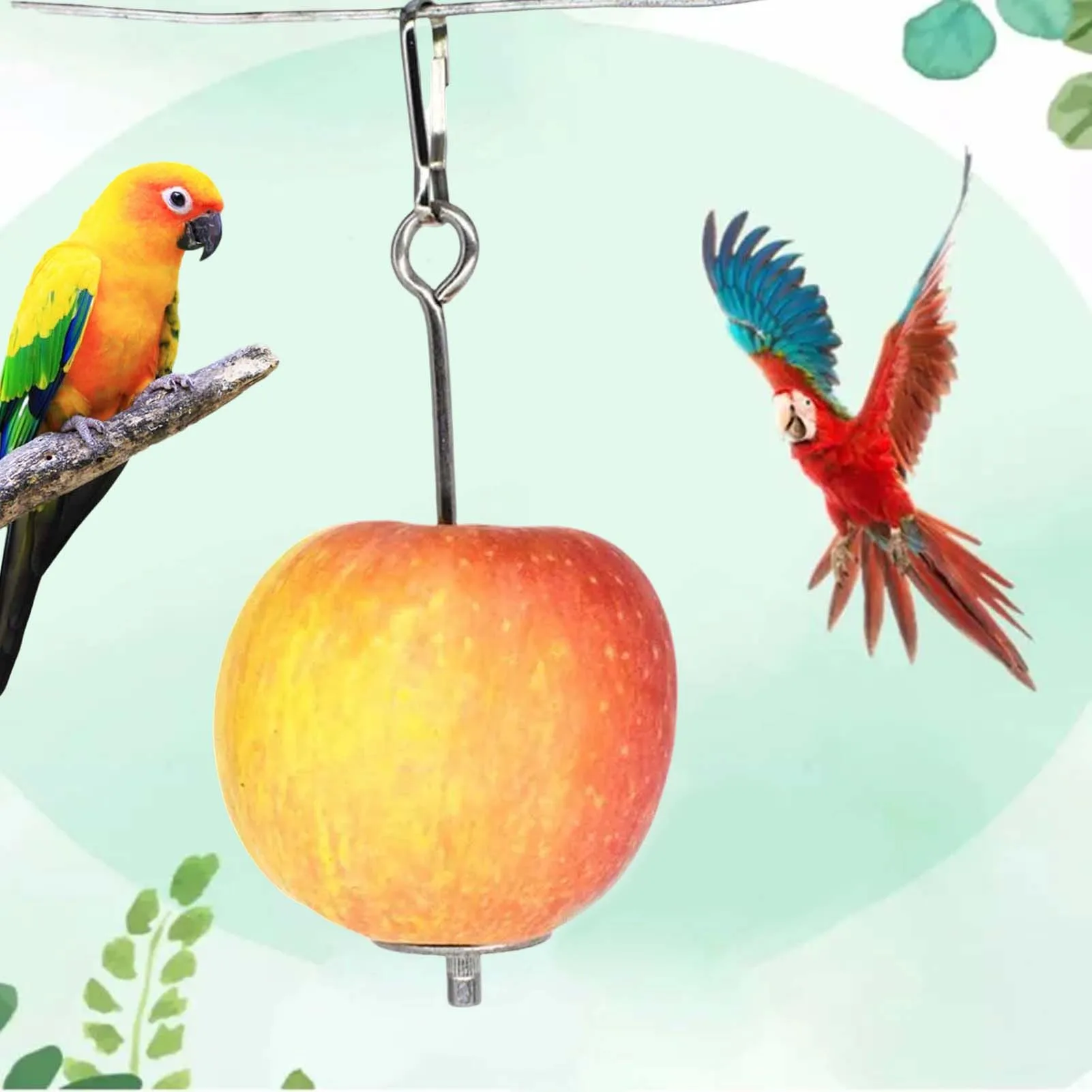 Stainless Steel Pet Parrots Birds Fruits Fork Pet Parrots Birds Food Holder Support Stick Meat Fruit Vegetable Skewer Tool
Stainless Steel Pet Parrots Birds Fruits Fork Pet Parrots Birds Food Holder Support Stick Meat Fruit Vegetable Skewer Tool