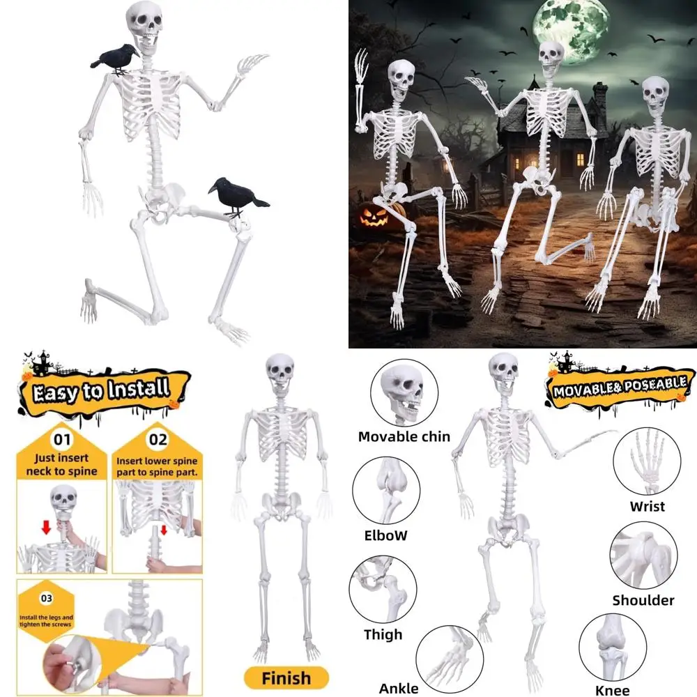 Позитивный 6-футовый скелет в натуральную величину с подвижными шарнирами для Хэллоуина, пластиковые человеческие кости всего тела, включает 2 черные вороны
Позитивный 6-футовый скелет в натуральную величину с подвижными шарнирами для Хэллоуина, пластиковые человеческие кости всего тела, включает 2 черные вороны