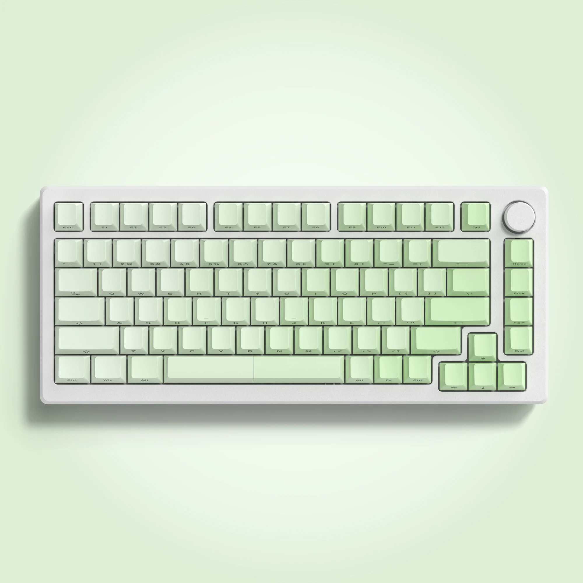 Cherry Profile Side Printed Shine Through Keycap Fruit Green Double Shot PBT Keycaps for Cherry Gateron MX Switch Gamer Keyboard
Cherry Profile Side Printed Shine Through Keycap Fruit Green Double Shot PBT Keycaps for Cherry Gateron MX Switch Gamer Keyboard