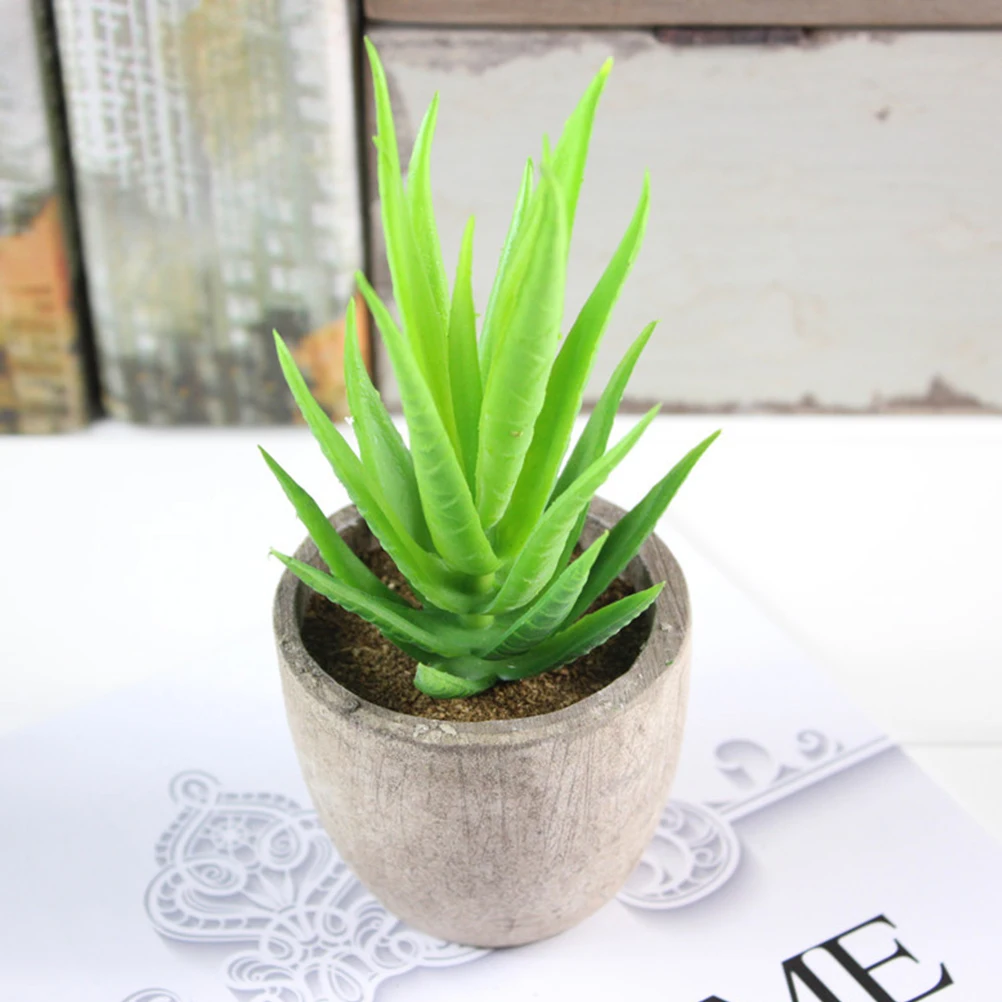 3pcs Artificial Succulents Home Decor Lightweight Eco Friendly Long Term Use Non Fading Gifts Office Desktop Decor
3pcs Artificial Succulents Home Decor Lightweight Eco Friendly Long Term Use Non Fading Gifts Office Desktop Decor