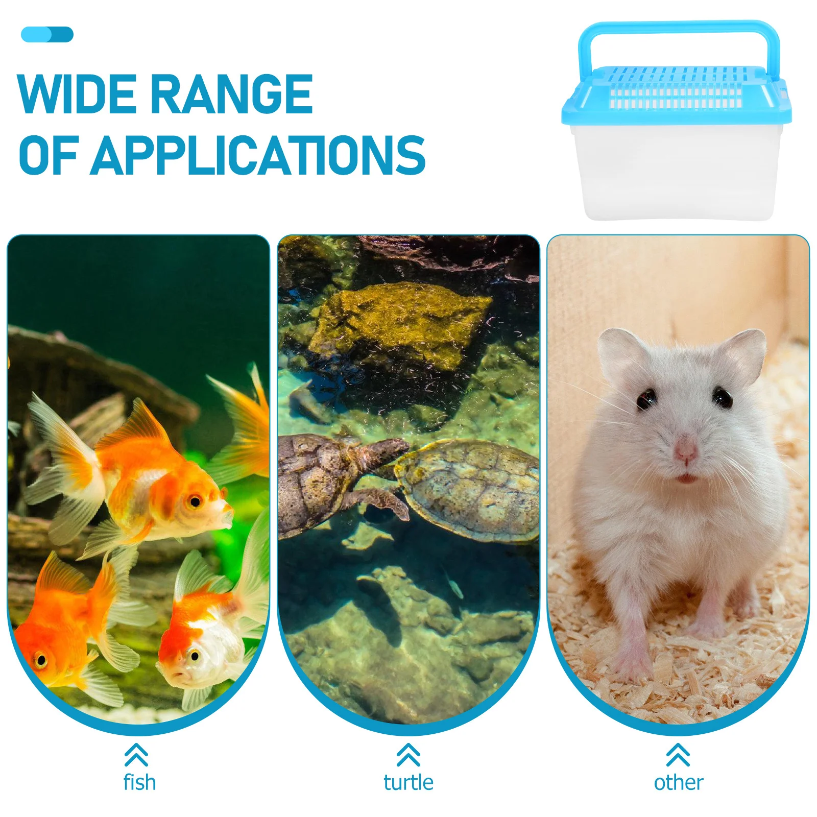 Portable Turtle Feeding Tank Handheld Transparent Fish Tank Lightweight Reptile Habitat Plastic Aquarium Breeding Box
Portable Turtle Feeding Tank Handheld Transparent Fish Tank Lightweight Reptile Habitat Plastic Aquarium Breeding Box