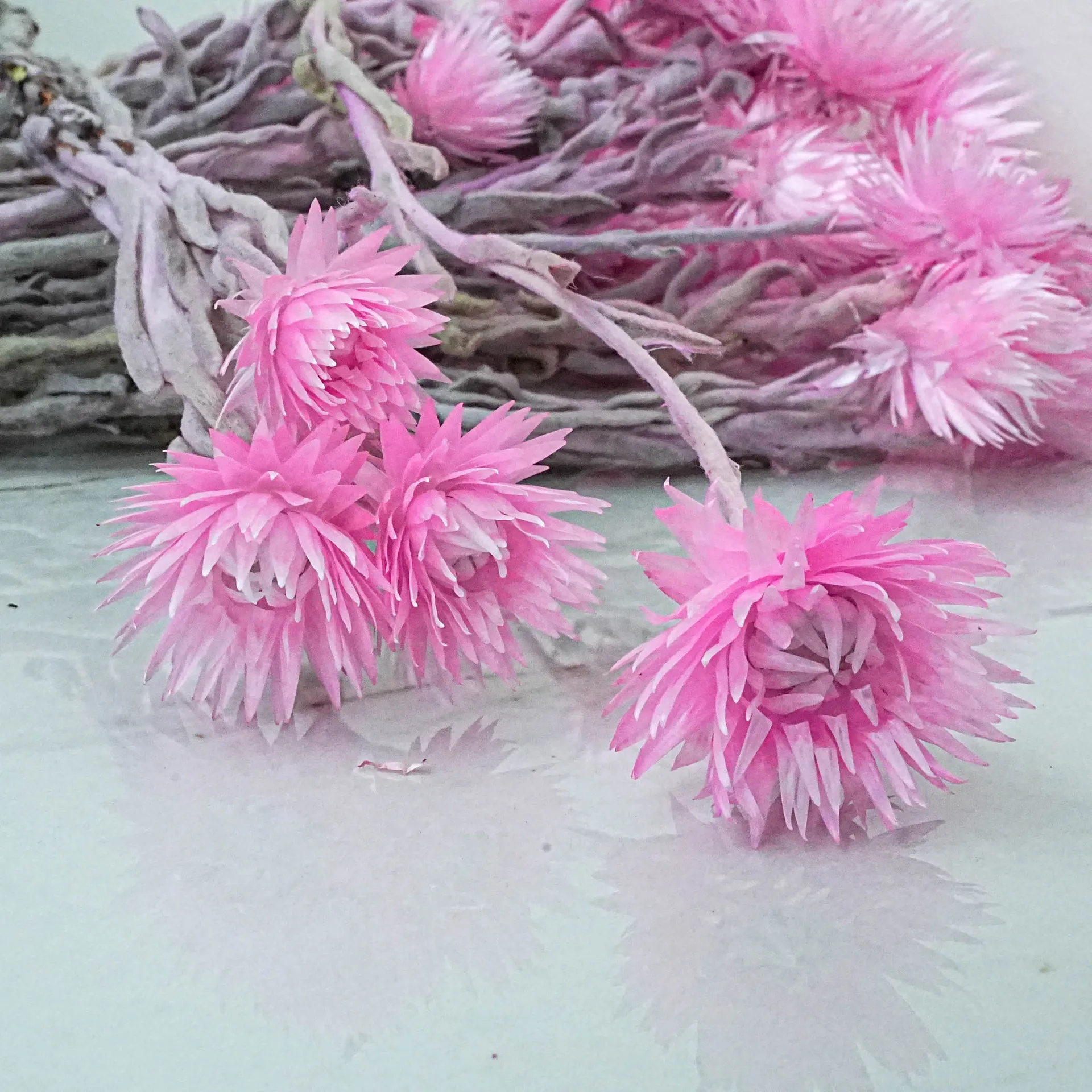 About 20heads Rock flower Dried Flower Baby's Breath Flowers Bouquet for Wedding Arch Flowers Decoration, Natural White Dry Flow
About 20heads Rock flower Dried Flower Baby's Breath Flowers Bouquet for Wedding Arch Flowers Decoration, Natural White Dry Flow