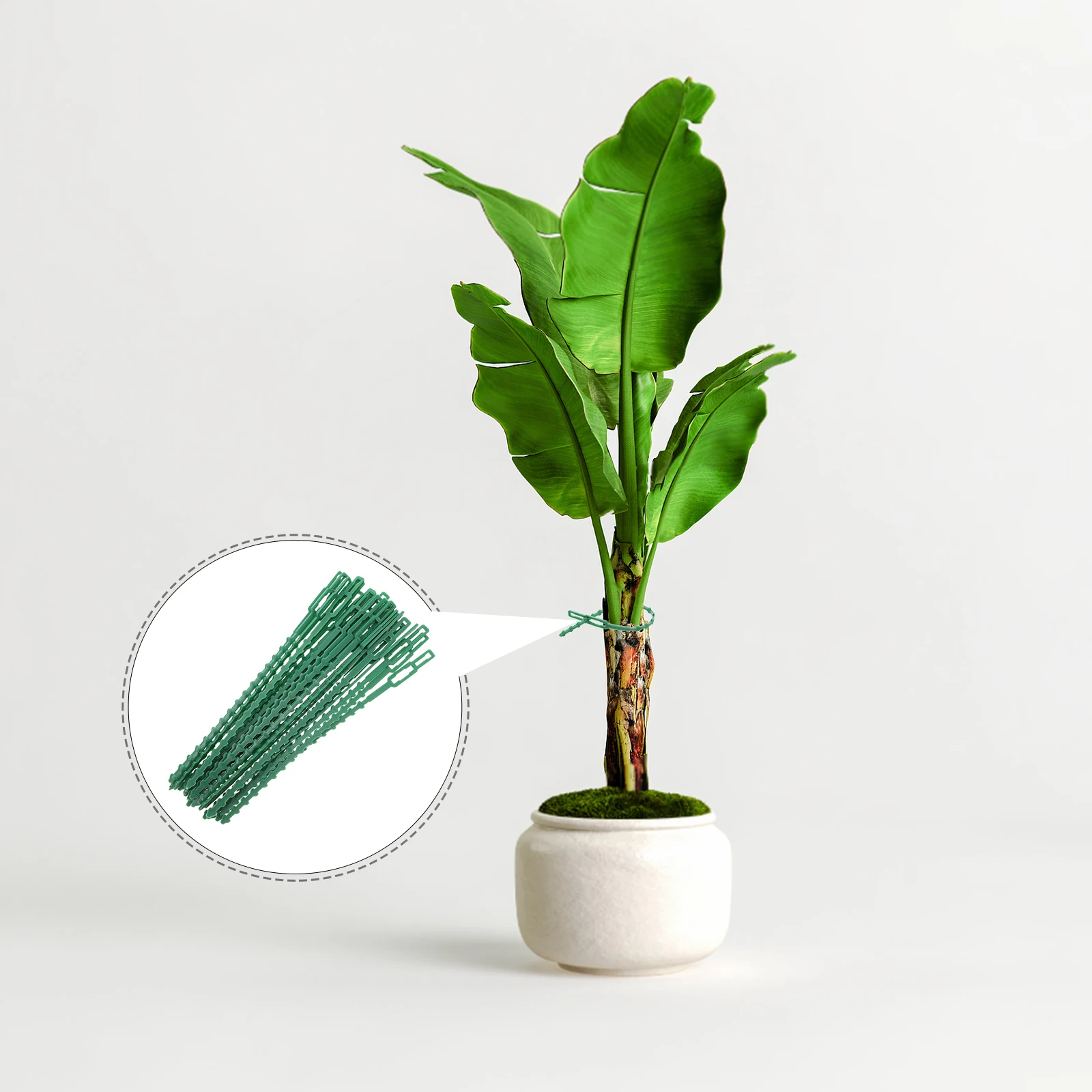 30 PCS Garden Tying Ties Plant Cable for Posts Self-locking Wire Wrap Zip Nylon
30 PCS Garden Tying Ties Plant Cable for Posts Self-locking Wire Wrap Zip Nylon