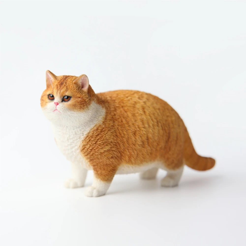 Моделирование модели толстого кота, фигурка куклы с цветком енота, оранжевый кот, настольное украшение, небольшой аксессуар в подарок
Моделирование модели толстого кота, фигурка куклы с цветком енота, оранжевый кот, настольное украшение, небольшой аксессуар в подарок
