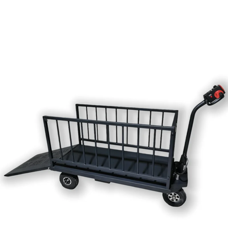 Electric Heavy Duty Foldable Steel Platform Cargo Trolley 500kg Load Capacity OEM Warehouse Logistics Equipment
Electric Heavy Duty Foldable Steel Platform Cargo Trolley 500kg Load Capacity OEM Warehouse Logistics Equipment